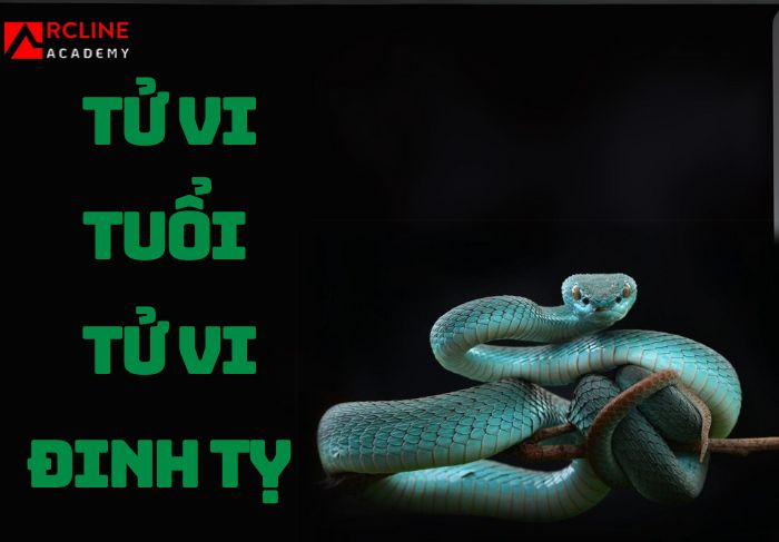 Tử vi tuổi Đinh Tỵ