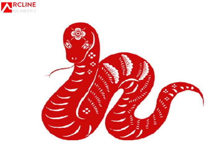 Tử vi tuổi Đinh Tỵ