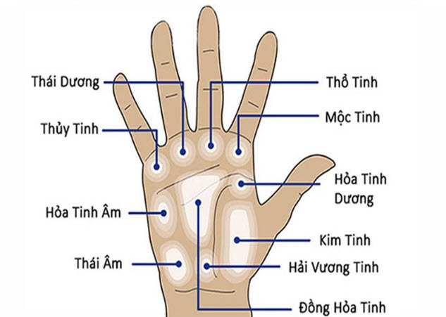 Các gò trên lòng bàn tay: Kim Tinh, Thái Âm, Mộc Tinh, Thổ Tinh, Thái Dương, Thủy Tinh