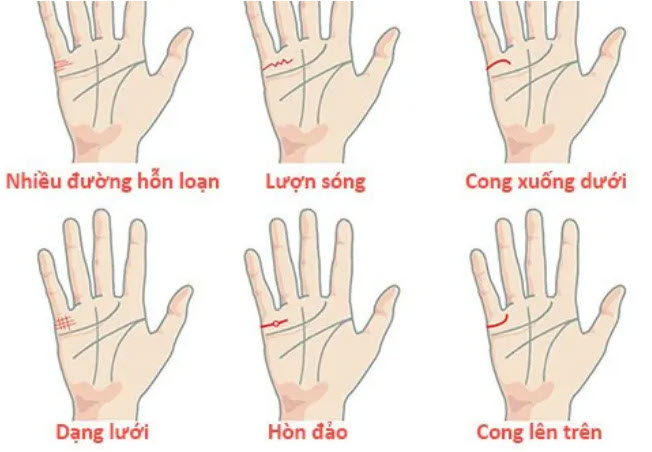 Cách nhận diện đường sinh mệnh, trí tuệ, tình duyên qua hình ảnh thực tế