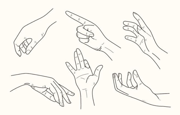 Sơ đồ các đường chỉ tay chính và phụ trên lòng bàn tay - minh họa tổng quan