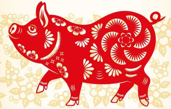 Ất Hợi 1995: thói quen hằng ngày giúp cân bằng công việc và cảm xúc