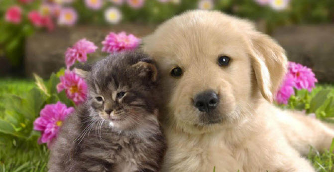 2024-12-28_11-59-08.13