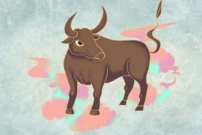 Xem bói tuổi Sửu – biểu tượng nền tảng, ổn định và sự tích lũy