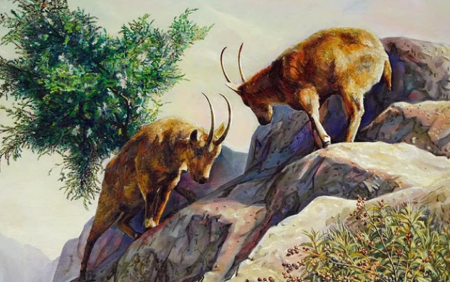 Tuổi Tân Mùi 1991: minh họa kết nối nhân hòa và nguyên tắc