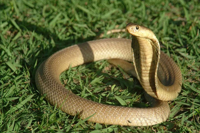 xem bói tuổi kỷ tỵ: minh họa tuần 3 hành động nhỏ