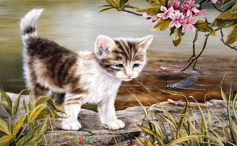 Đinh Mão 1987: công việc, gia đạo, tài chính - khung thực hành trong đời sống thường ngày