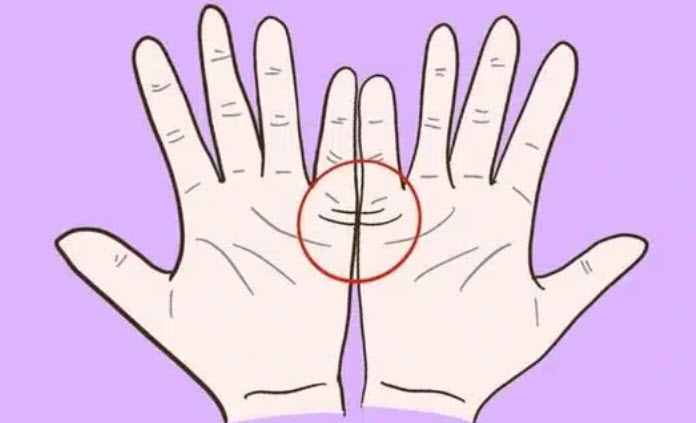 Các dạng đường con cái: thẳng, chẻ nhánh, đứt đoạn