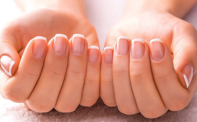 Xem chỉ tay con gái – minh họa đường chính trên lòng bàn tay