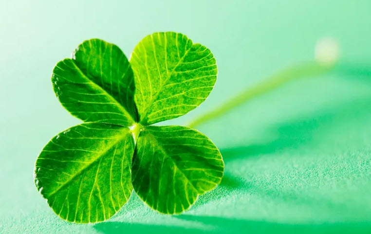 Bói may mắn – minh họa lá bài và biểu tượng