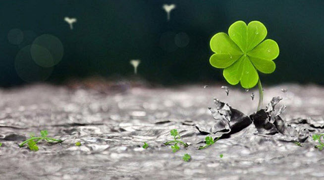 Ý nghĩa bói may mắn dưới góc nhìn chiêm nghiệm