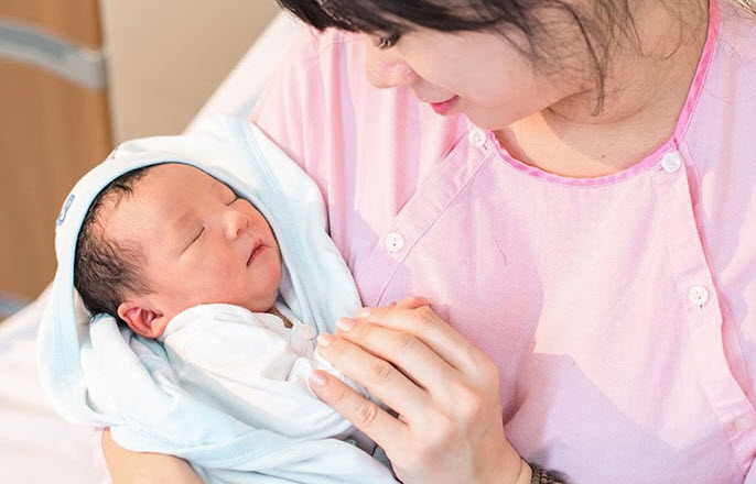 Minh họa: Nhật ký 12 tháng sinh và nhịp năng lượng cá nhân