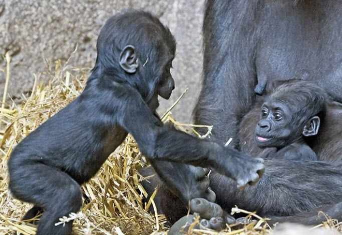 Nhâm Thân: cân bằng sức khỏe - tinh thần - quan hệ