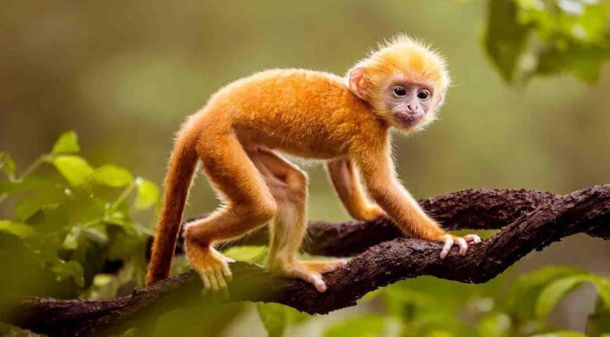 2025-01-15_12-46-00.1