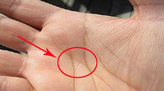 xem chỉ tay nữ tay phải - ví dụ vị trí đường vận mệnh, nhánh và dấu hiệu trên gò