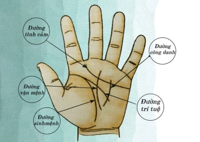 Minh họa đường sự nghiệp, tài lộc dưới ngón áp út và trục Thổ Tinh trên bàn tay nam