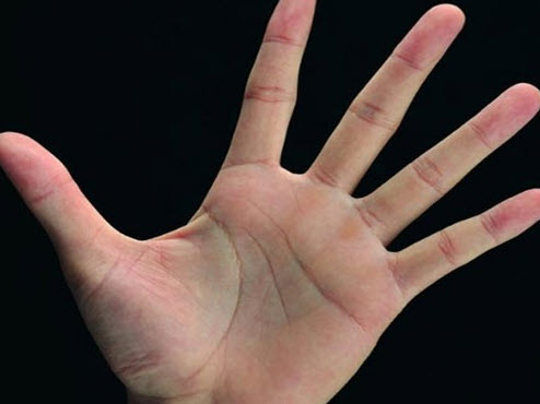 Minh họa vị trí và hướng đi của đường tình duyên nữ