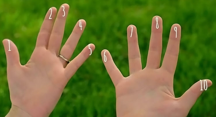 Cận cảnh đường vân tay – điểm delta và dòng vân