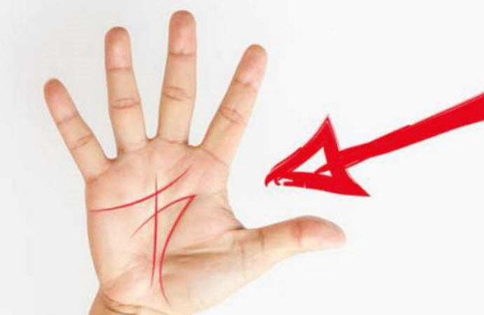 bản đồ lòng bàn tay nam: các gò và hướng đọc