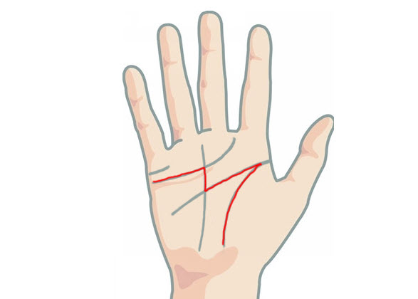 ý nghĩa đường chỉ tay nam giới: tình duyên và sự nghiệp