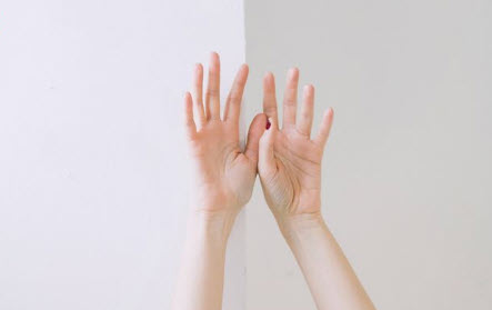 xem chỉ tay nữ đoán vận mệnh: minh họa vùng gò và ba đường chính