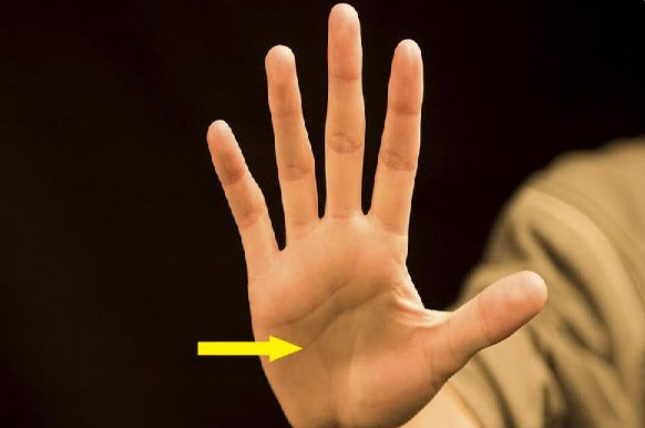 xem chỉ tay đàn ông: ví dụ chữ M trên lòng bàn tay