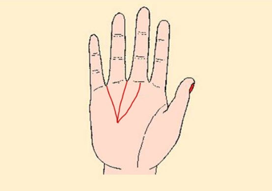 mẫu ảnh đường chỉ tay may mắn với nhánh phụ và giao điểm