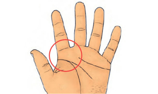 đường chỉ tay may mắn trên lòng bàn tay – vị trí và hướng chạy