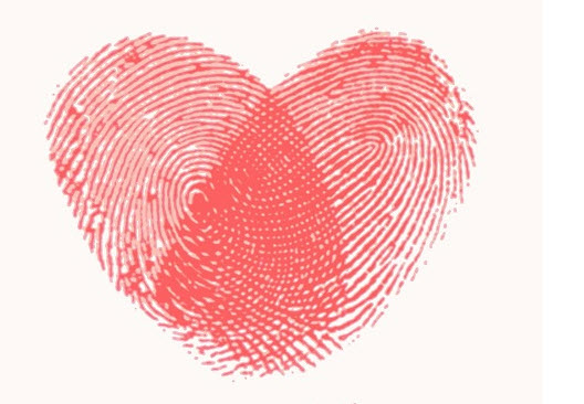 Bảng phân loại vân tay nam: loop, whorl, arch