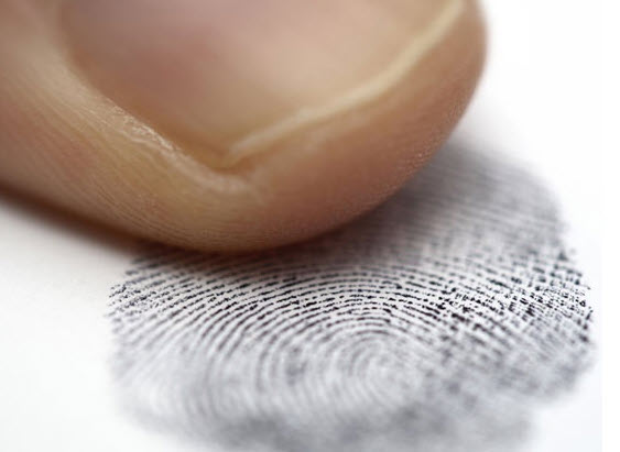 Quan sát vân tay nam dưới ánh sáng tự nhiên