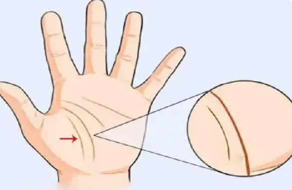 Tướng bàn tay: ngón tay và tỉ lệ nói gì về bạn