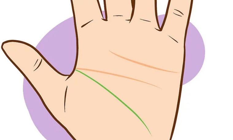 Tướng bàn tay: gò tay và đường phụ minh họa