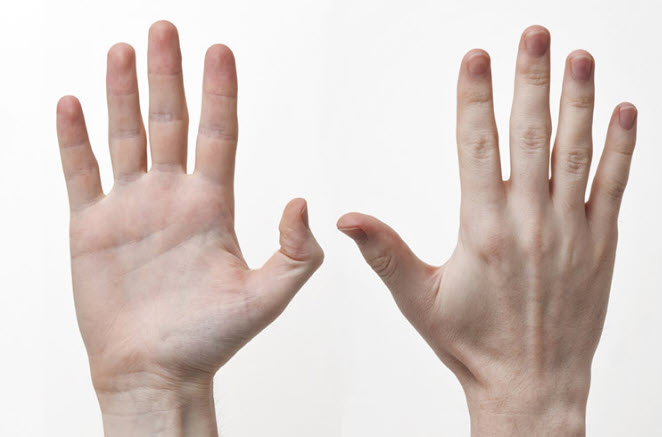 Tướng bàn tay: ba đường chính và cách nhận diện