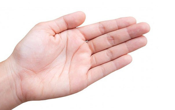 xem chỉ tay nữ giới tay nào - đường chính đường phụ