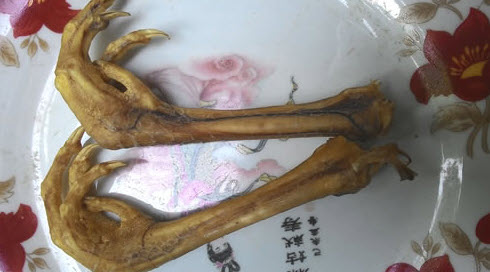 Xem bói chân gà: tiêu chí quan sát da, vân, móng, ngón, cựa