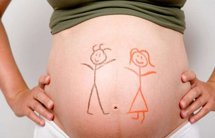 Sơ đồ diễn giải dân gian về con giáp và mệnh ngũ hành trong gia đình