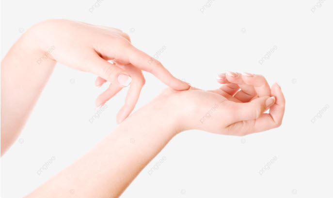 Xem bàn tay: các đường chính và vị trí gò minh họa