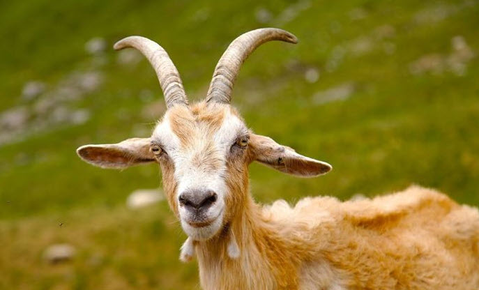 2025-02-16_00-27-55.10