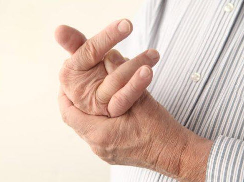 hình minh họa đặc điểm ngón tay: chiều dài độ cong và đốt tay