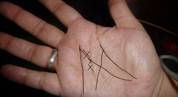 mẫu hình chỉ tay minh họa đường sinh mệnh trí tuệ tình cảm