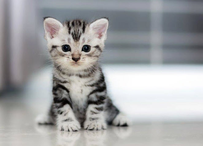 Đối thoại giữa khác biệt: dịu và thẳng – gợi ý cho tuổi Mão