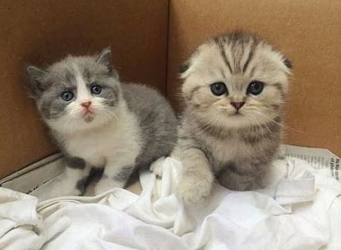 2025-02-20_11-07-19.5