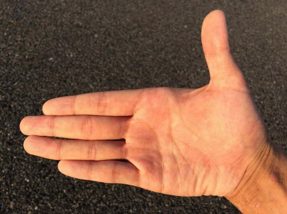 Cách đọc ba đường chính trên lòng bàn tay