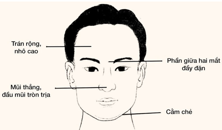 Các vùng khuôn mặt gợi ý cách đọc vui: mắt, mũi, môi, trán, cằm