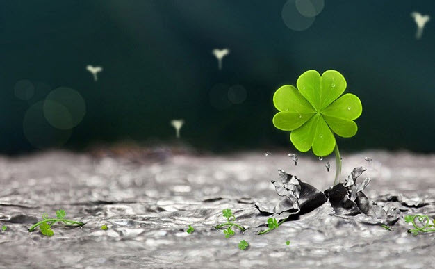 Xem bói bài ngày mai: hình minh họa trải bài và ghi chú nhanh