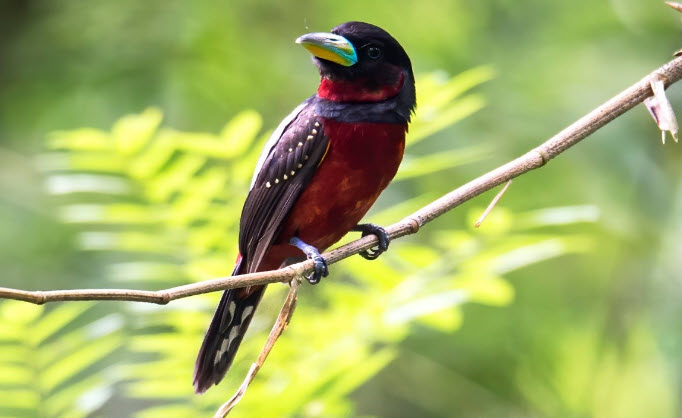 2025-03-04_01-18-56.12