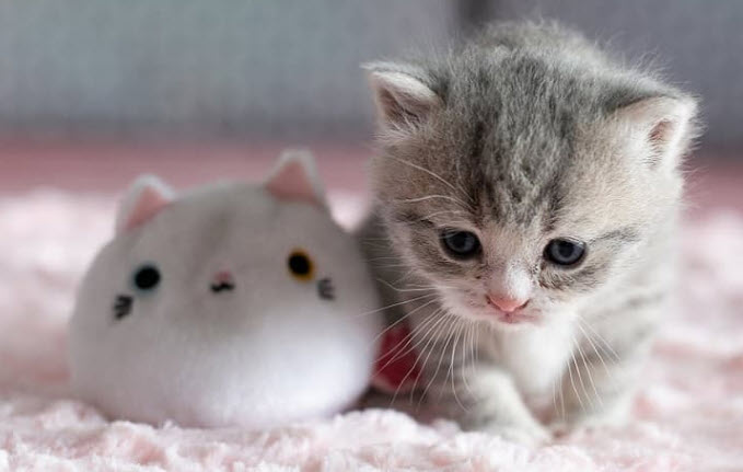 2025-03-09_15-43-19.22