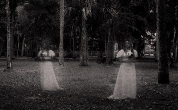 2025-03-10_08-47-04.3