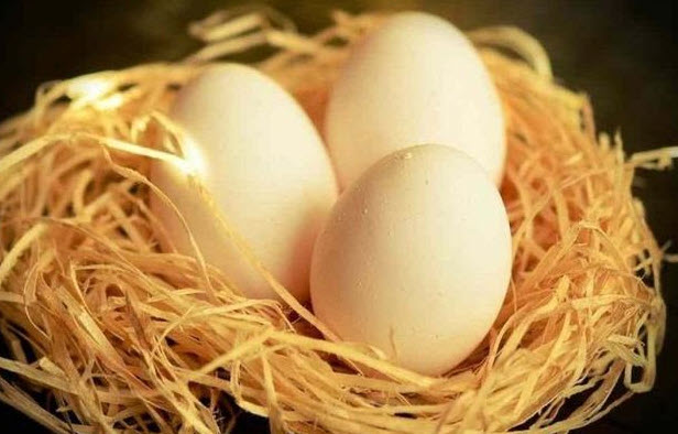 nằm mơ thấy nhặt được nhiều trứng vịt