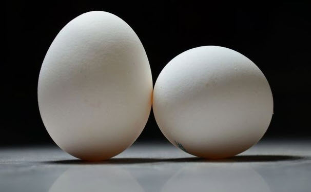 nằm mơ thấy nhặt được nhiều trứng vịt